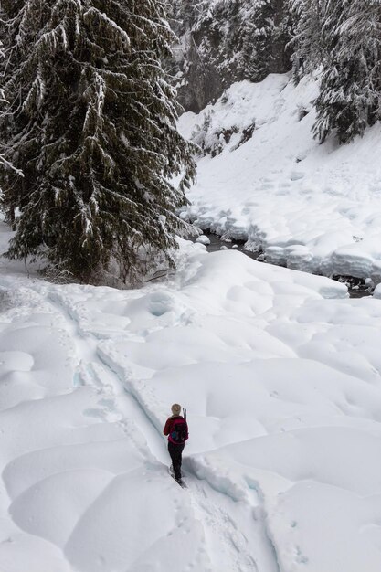 Snowshoeing in the snow during a white winter day