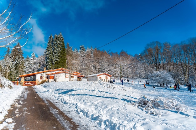 サンセバスチャンギプスコアバスク地方スペインの近くのオイアルツンにある雪に覆われたArtikutza自然公園