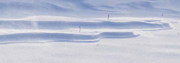 Sfondo innevato, superficie innevata della terra dopo una bufera di neve al mattino alla luce del sole con distinti strati di neve