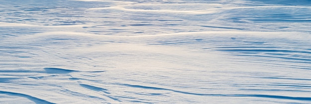 Snowy background, snow-covered wavy surface of the earth after a blizzard in the morning in the sunlight