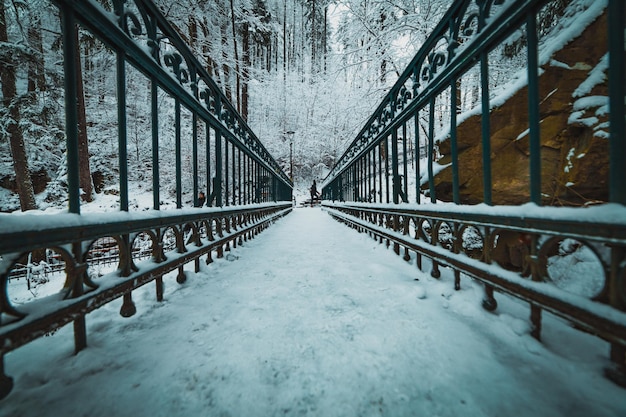 山の公園にある雪の橋