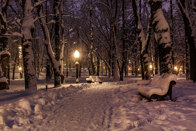 冬の夜に雪に覆われた都市公園。