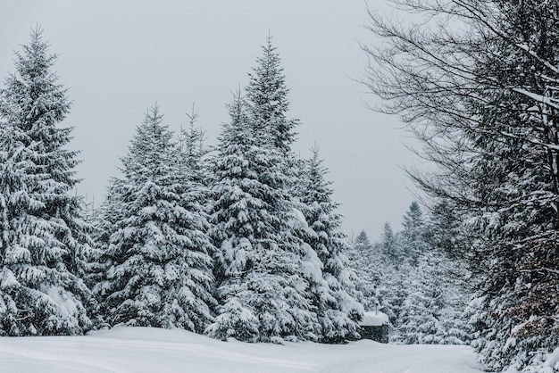 A snowy day in a mountain village by the river