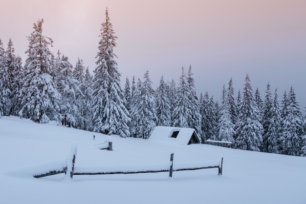 Snowy forest in the Carpathians. A small cozy wooden house covered with snow. The concept of peace and winter recreation in the mountains. Happy New Year