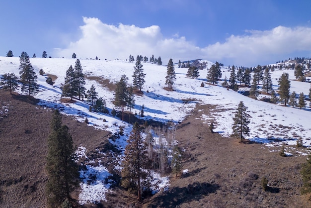 A snowy hill with trees and a blue sky