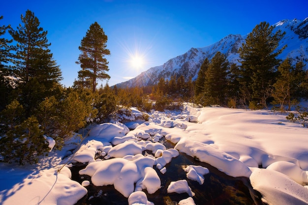 Snowy iced creek in the forest