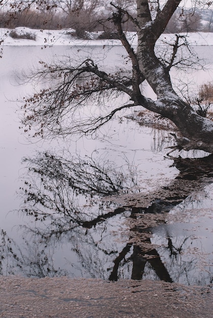 Snowy lake in winter