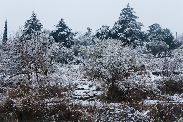 Snowy landscape in the Calamuchita Valley, Cordoba, Argentina