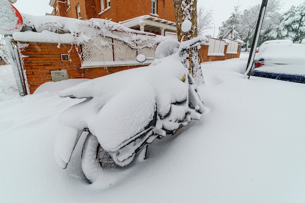 暴風雨フィロメナによるマドリードの雪景色。公園、通り、木々はすべて雪に覆われています。スペイン
