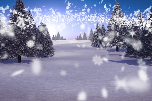 Snowy landscape with fir trees