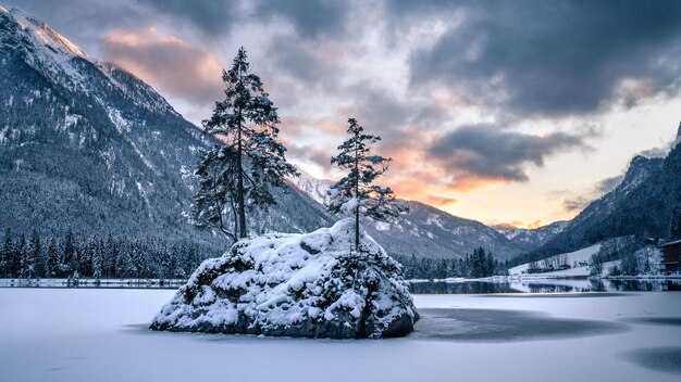 Photo a snowy landscape with a lake and trees in the background