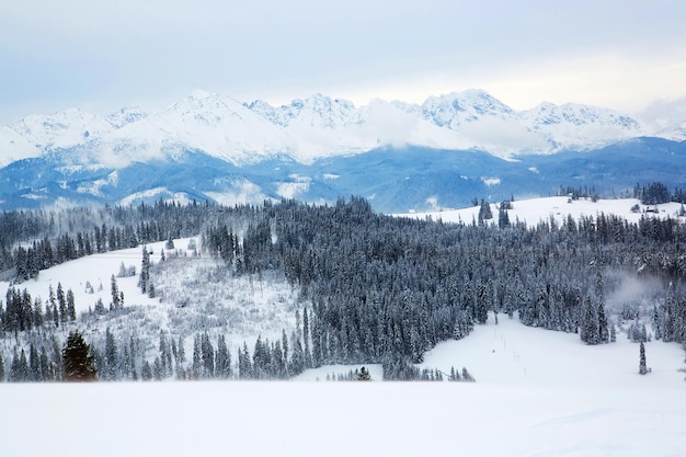 A snowy landscape with mountains in the background