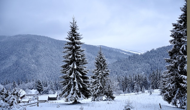房と山々のある雪景色