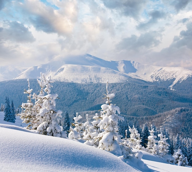 Snowy landscape