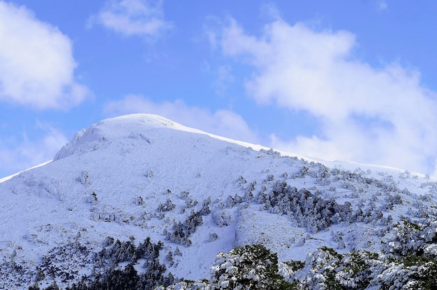 Snowy landscapes from the interior of granada  spain