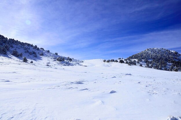 Snowy landscapes from the interior of granada  spain