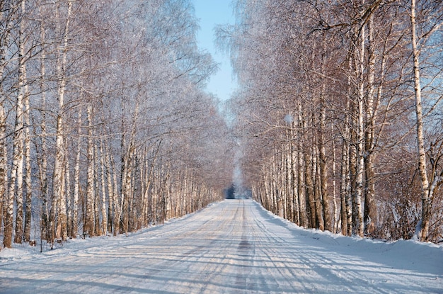 눈 덮인 풍경 겨울 도로 눈 속의 나무