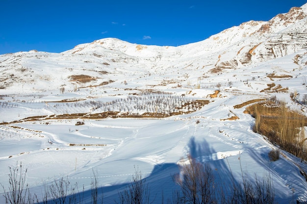 中央アジアの雪山の風景中央アジアの雪山の風景