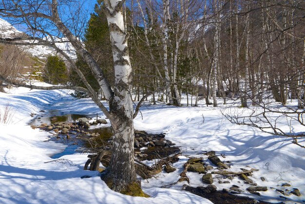 Snowy mountain landscape on a sunny day