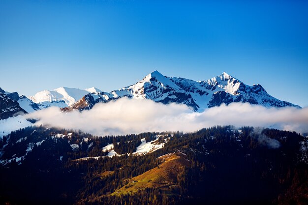 Snowy Mountain Matterhorn, 체르마트, 스위스