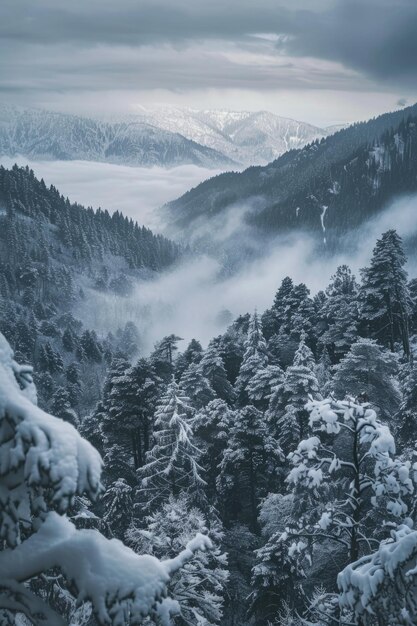 A snowy mountain range with a foggy mist in the air