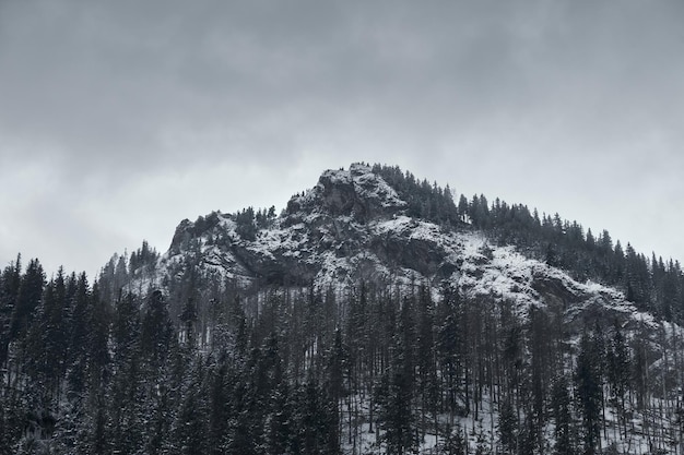 Snowy mountain rock peaks during winter heavy sky dramatic panorama in Zakopane Poland