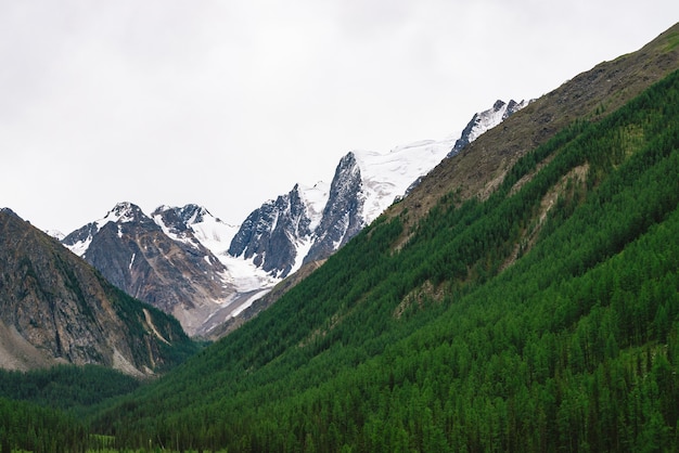 Snowy mountain top behind hill with forest under cloudy sky