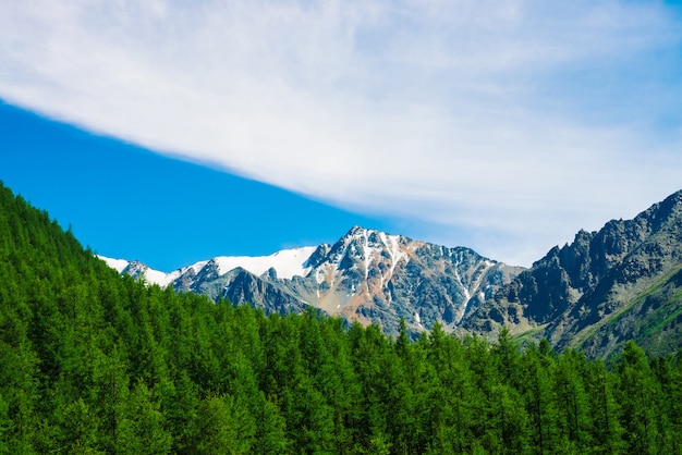 Snowy mountain top behind wooded hill under blue clear sky. Rocky ridge above coniferous forest. Atmospheric minimalistic landscape of majestic nature.