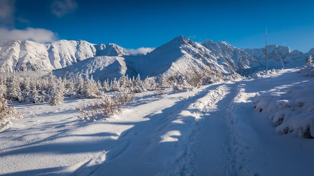 ポーランドのタトラ山脈の雪に覆われた山道