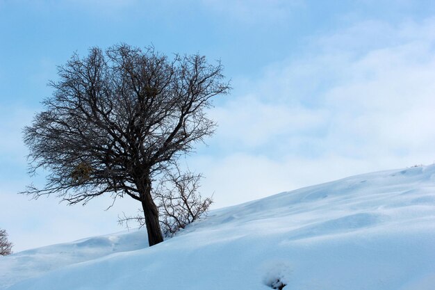 冬の日の雪山