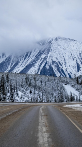 Photo a snowy mountain with a road and trees on it