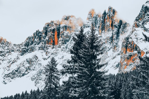 A snowy mountain with trees and a snowy mountain in the background