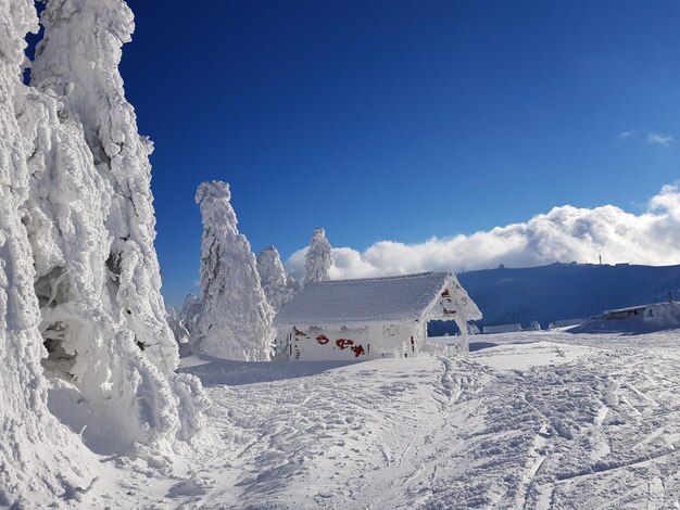 Snowy mountain