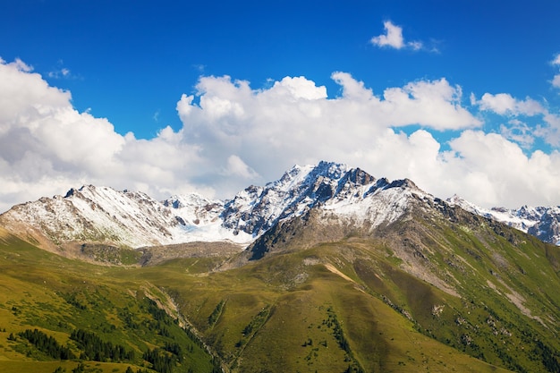 Snowy mountains and green grass