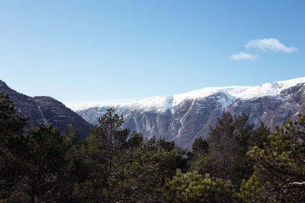 ノルウェーの雪の山々 素晴らしい山の景色