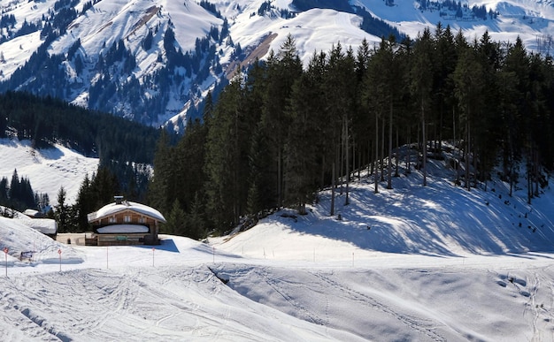 Montagne innevate con piste da sci tra gli alberi sotto un cielo azzurro a hochkonig austria