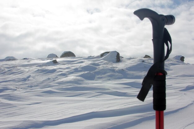 雪に覆われた山々