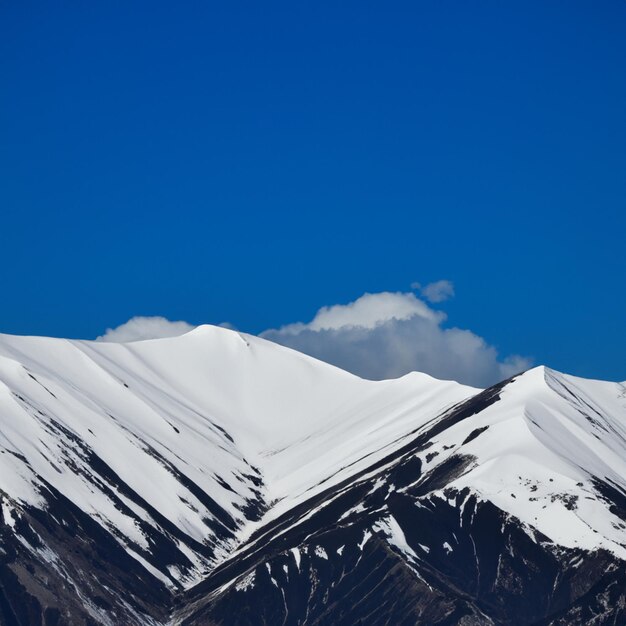 雪の山