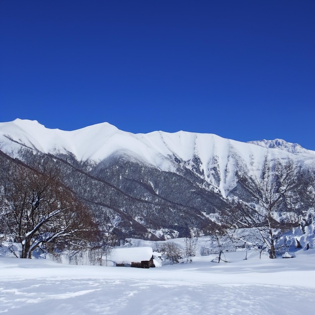 Photo snowy mountains