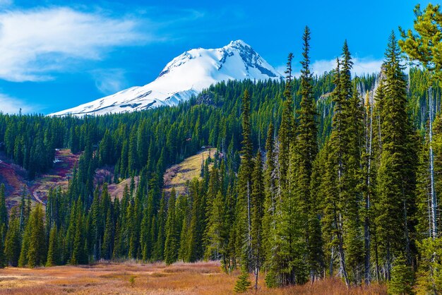 オレゴン州北部のカスケード火山弧にあるフッド山の雪に覆われた山頂 米国オレゴン州の風景