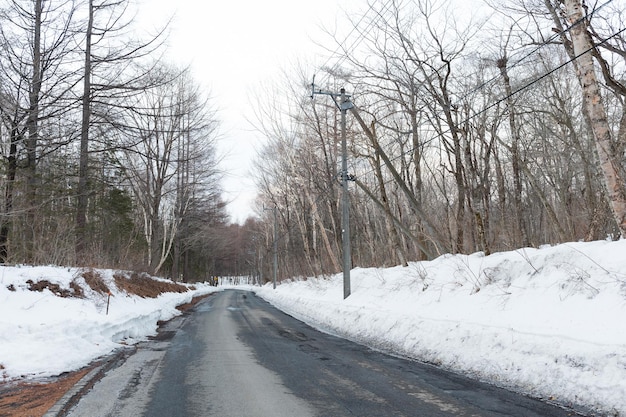 Snowy road at morning