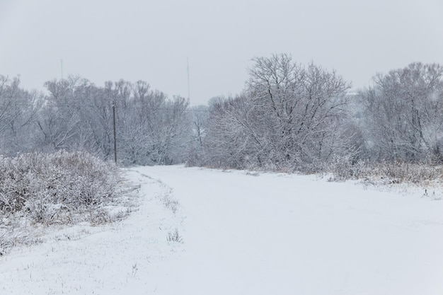 降雪時の雪道 冬の田園風景