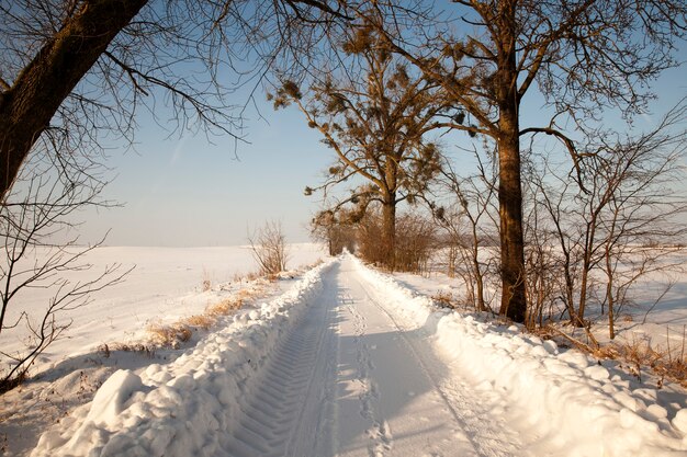 晴れた日の雪道