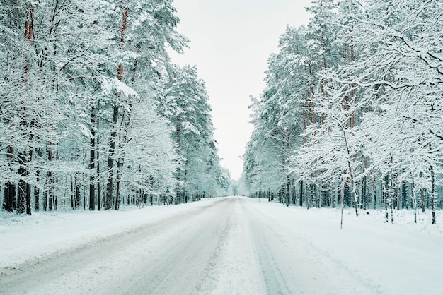 Strada innevata nella foresta invernale