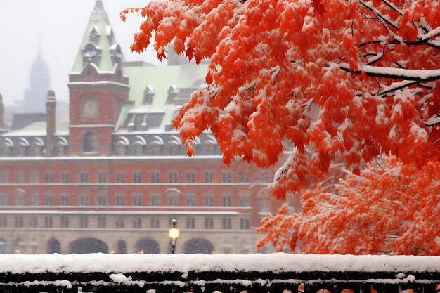 Snowy Rooftop Gardens Urban Oases