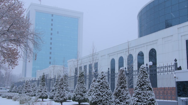 マニトバ大学の建物の雪景色