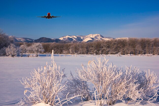 Snowy scenery of east hokkaido in winter