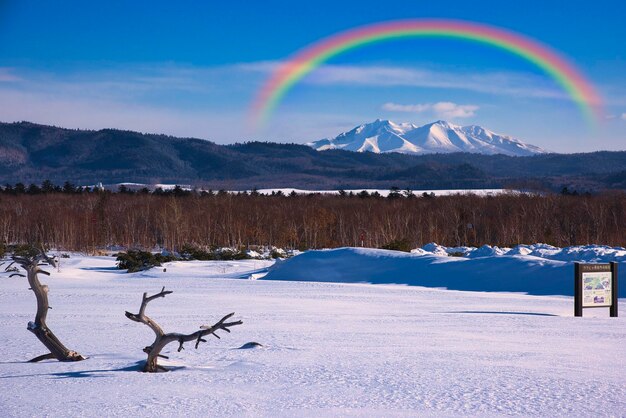 Snowy scenery of eastern hokkaido in winter