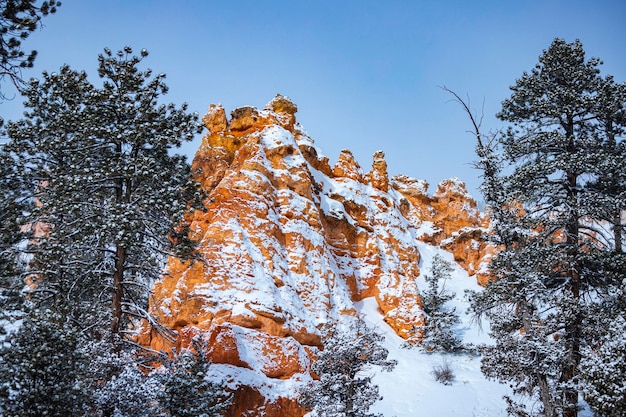 snowy trees and massive rock formations during winter in bryce canyon national, winter in the usa