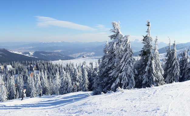 Snowy view in Carpathian Mountains